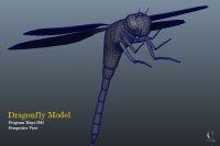 Dragonfly Model