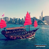 Duck Ling Boat